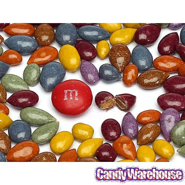 Sunbursts All Natural Chocolate Sunflower Seeds: 5LB Bag - Image 2