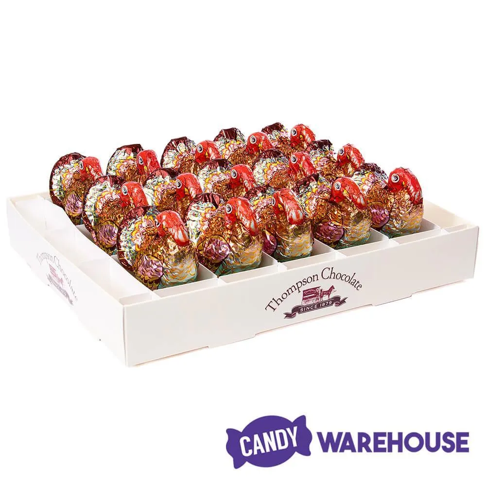 Thompson Foiled Turkey 3.5-Ounce Milk Chocolates: 15-Piece Display - Image 3