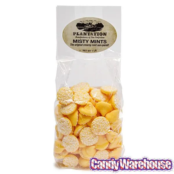Smooth and Melty Nonpareil Mint Chocolate Chips - Yellow: 16-Ounce Bag - Image 2