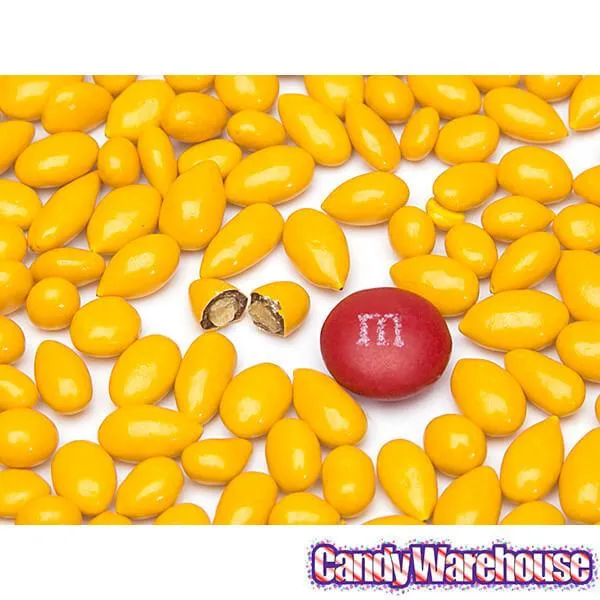 Sunbursts Chocolate Sunflower Seeds - Yellow: 1LB Bag - Image 2